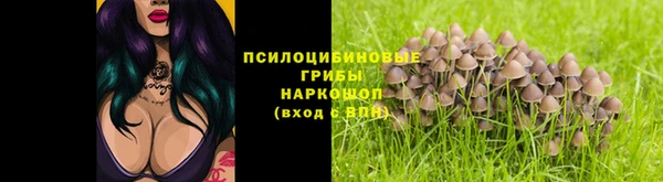 спиды Бугульма