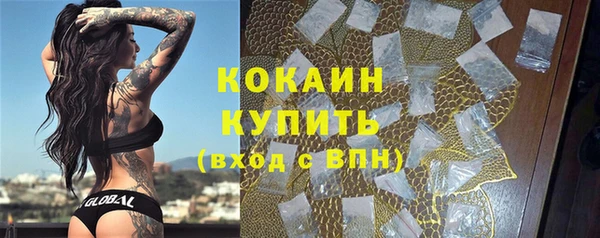 молекула духа Богданович